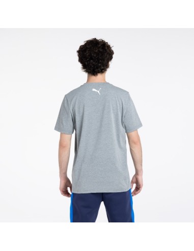 Polera Fanwear Gris UC 2026