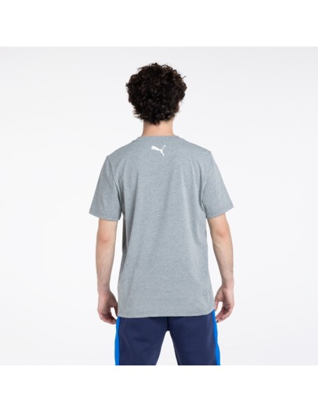 Polera Fanwear Gris UC 2026