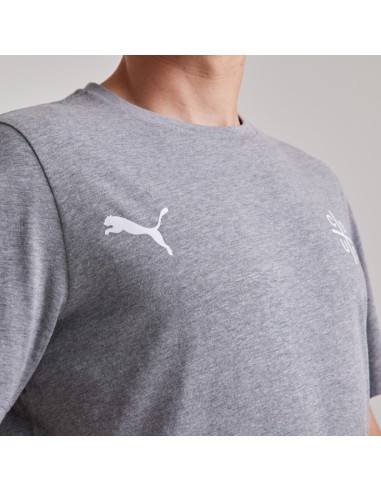 Polera Adulto de Algodón Gris 2025