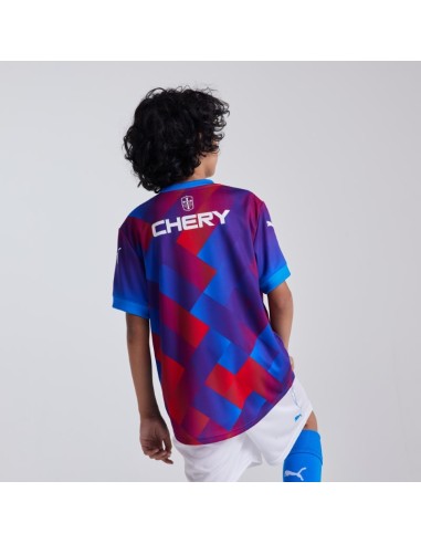 Tercera Camiseta Niño Puma 2025