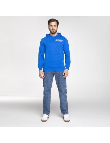 Polerón Hoody Fanwear Azul 2024 Puma