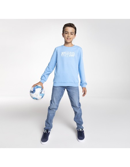 Polerón Fanwear Celeste Niño 2024 Puma