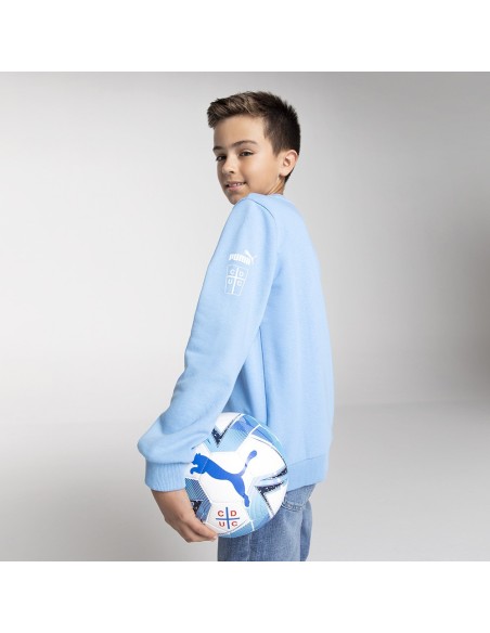 Polerón Fanwear Celeste Niño 2024 Puma