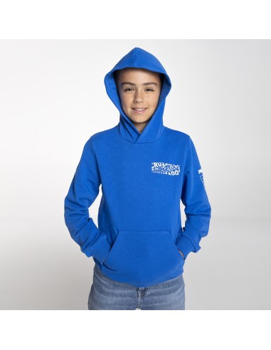 Polerón Hoody Fanwear Azul Niño 2024 Puma