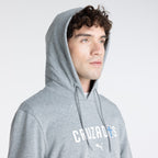 Hoodie Fanwear Gris UC 2026